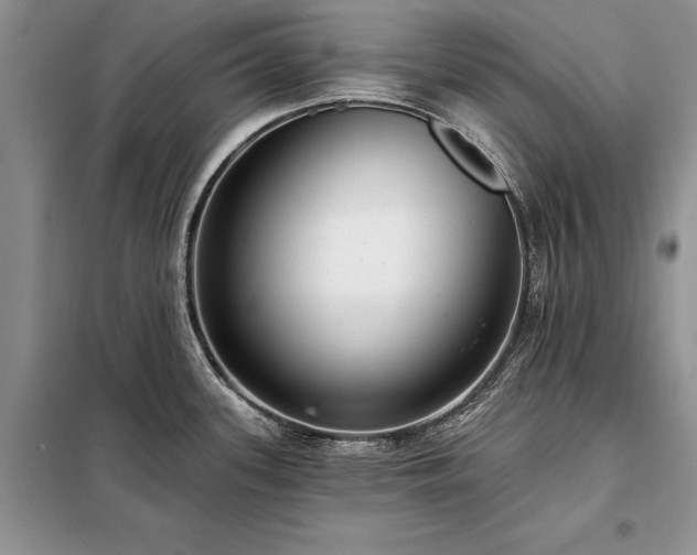 X0000098201339200805011138