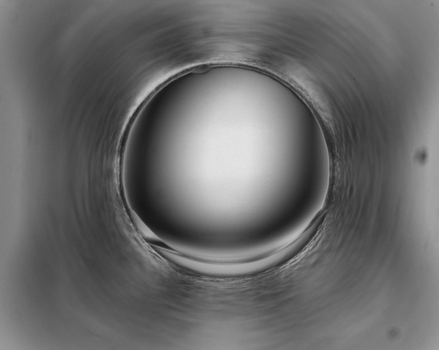 X0000098201340200805011138
