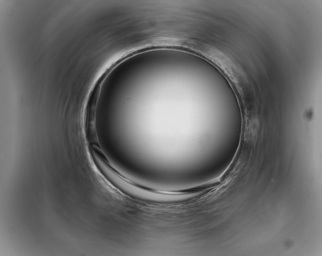 X0000098201342200805011138