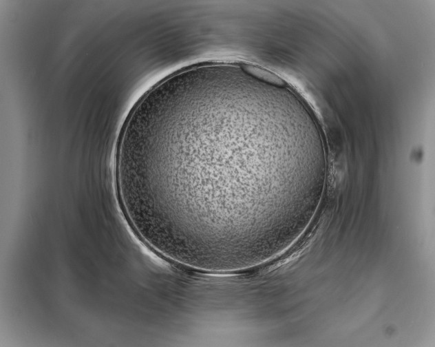 X0000098201343200805011138