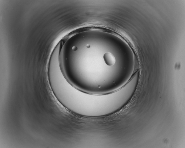 X0000098201344200805011138