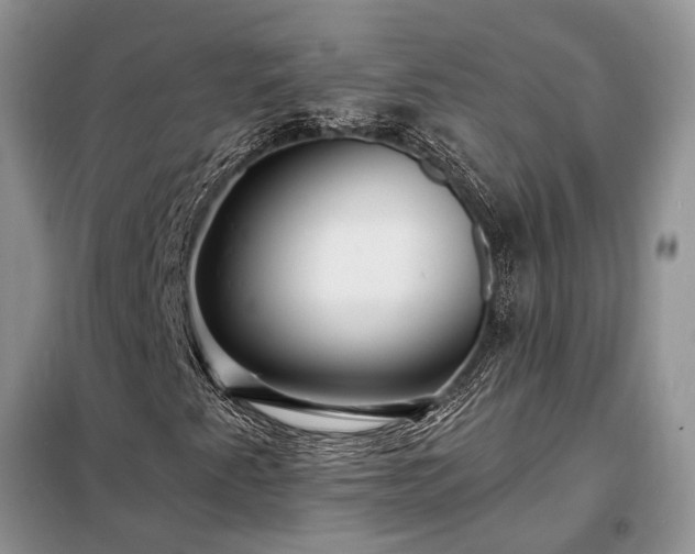 X0000098201345200805011137