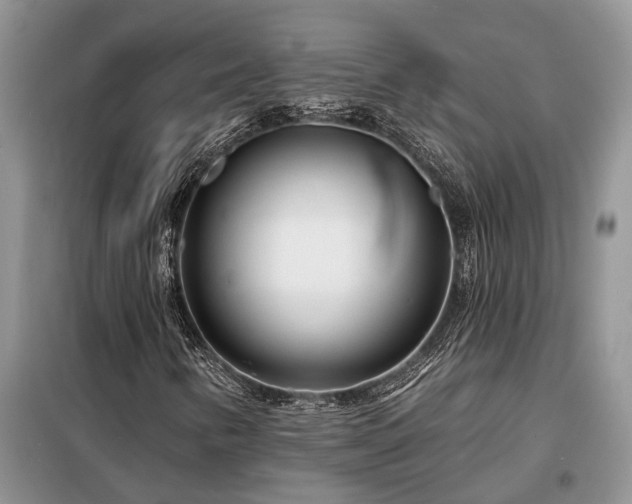 X0000098201346200805011137