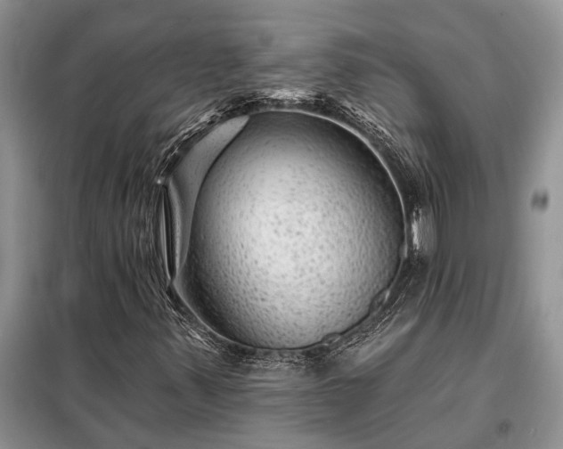 X0000098201347200805011137