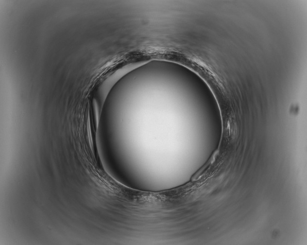 X0000098201348200805011137