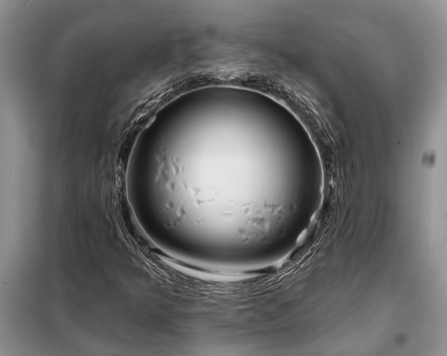 X0000098201349200805011137