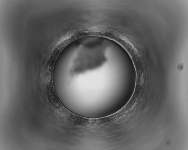 X0000098201350200805011137