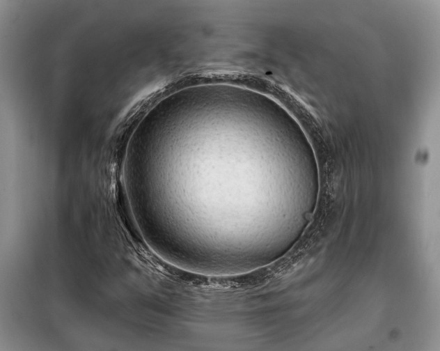 X0000098201351200805011137