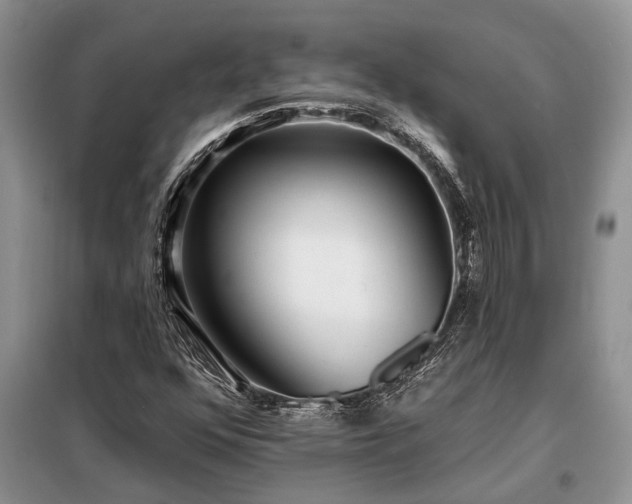 X0000098201352200805011137
