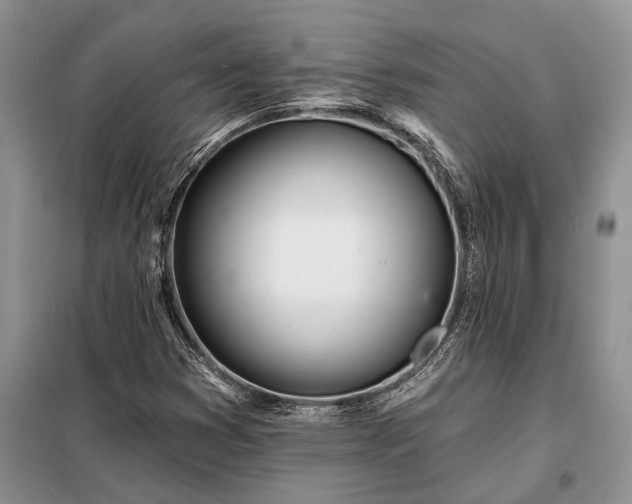 X0000098201353200805011137