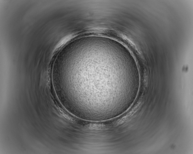 X0000098201354200805011137