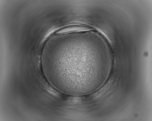 X0000098201355200805011137