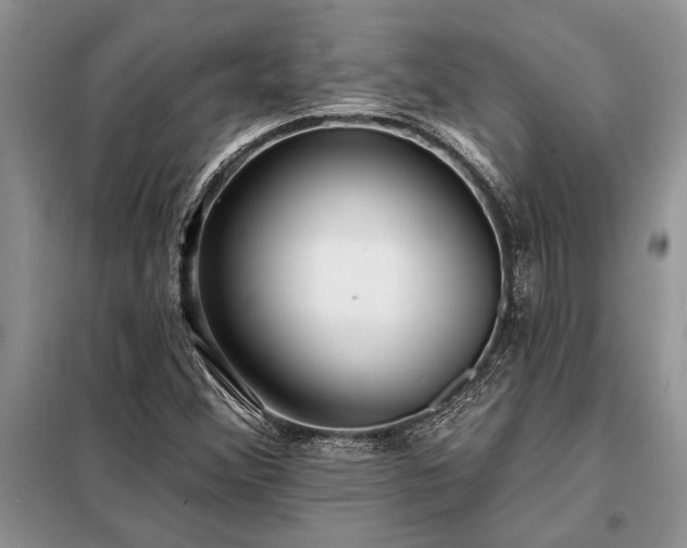 X0000098201356200805011137