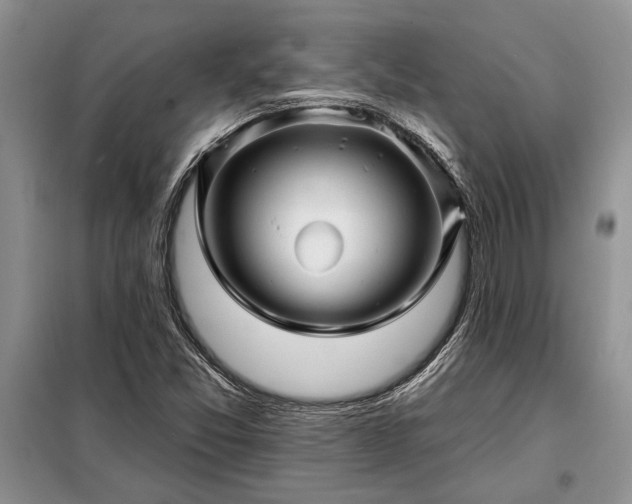 X0000098201357200805011137