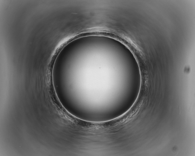 X0000098201358200805011137