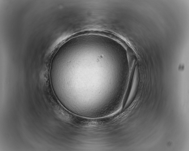 X0000098201359200805011137