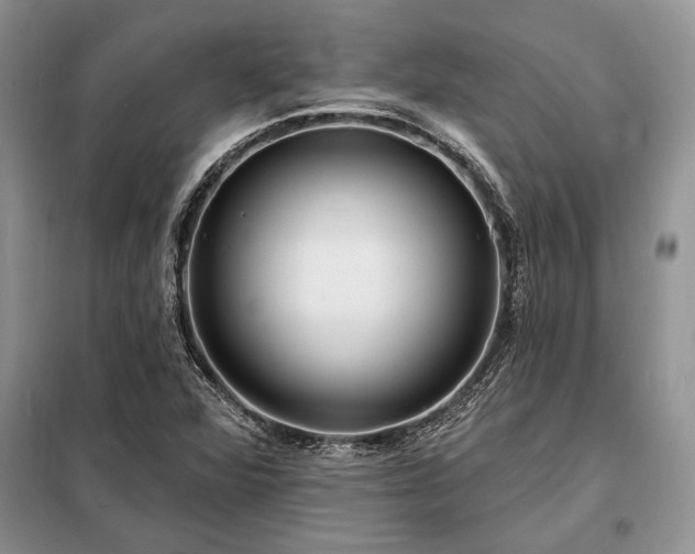 X0000098201360200805011137