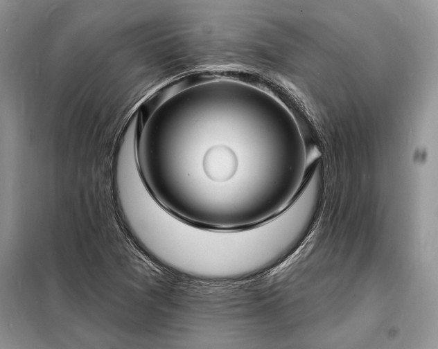 X0000098201361200805011137