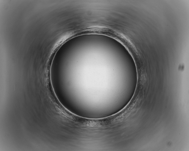 X0000098201362200805011137
