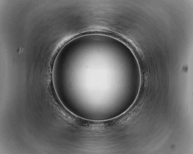 X0000098201363200805011137