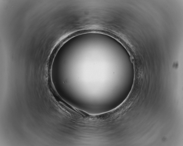 X0000098201364200805011137