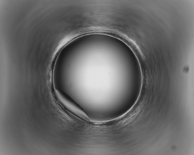 X0000098201365200805011137