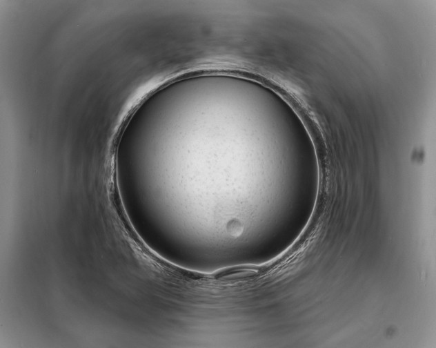 X0000098201366200805011137