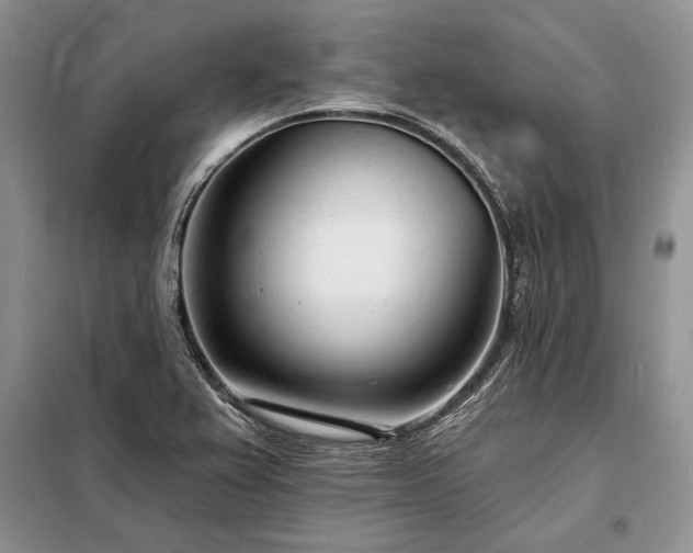 X0000098201367200805011137