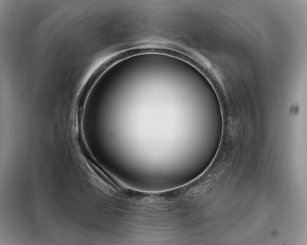 X0000098201368200805011137