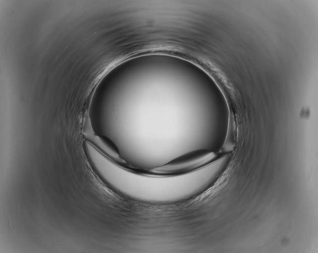 X0000098201369200805011137
