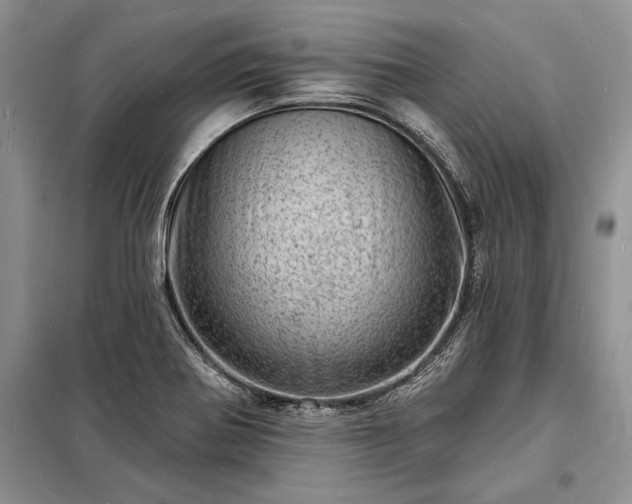 X0000098201370200805011137