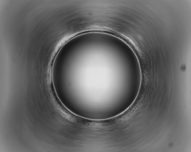 X0000098201371200805011137