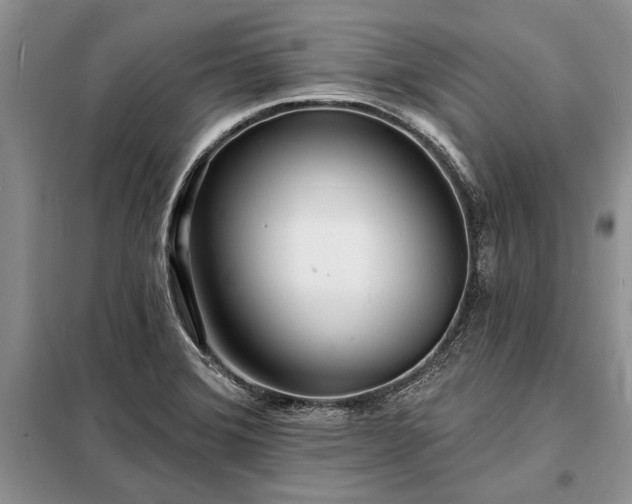 X0000098201372200805011137