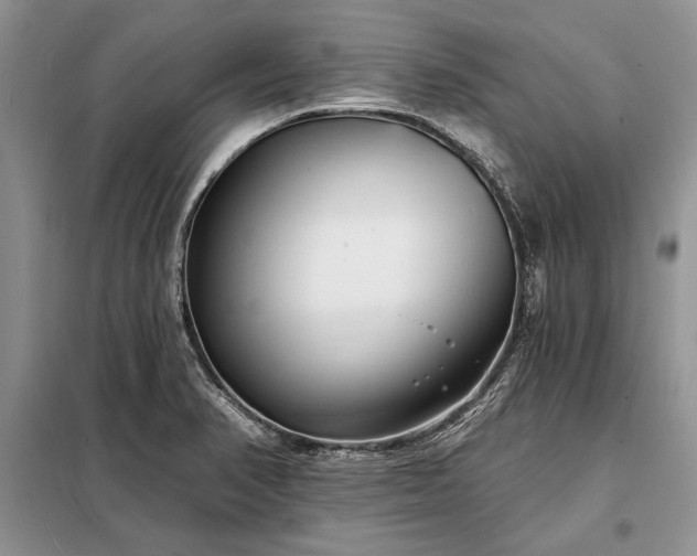 X0000098201374200805011137
