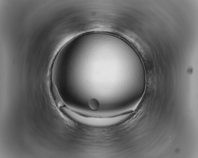 X0000098201375200805011137