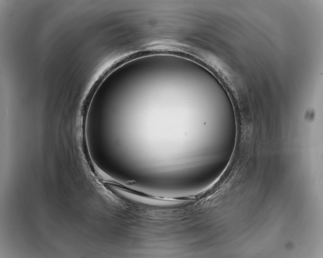 X0000098201376200805011137