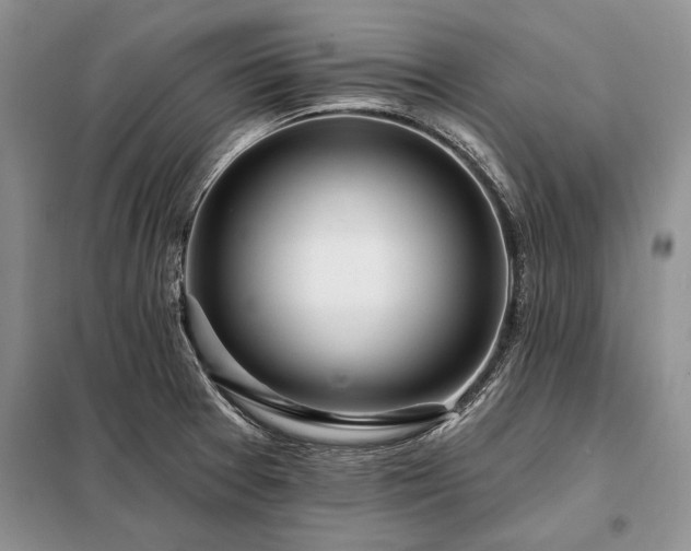 X0000098201377200805011137