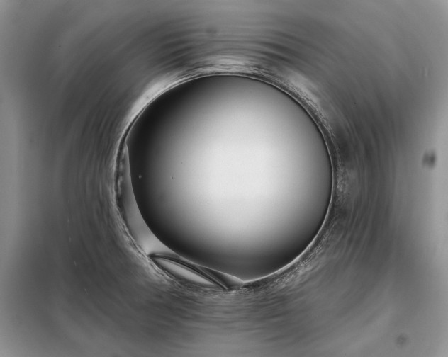 X0000098201378200805011137