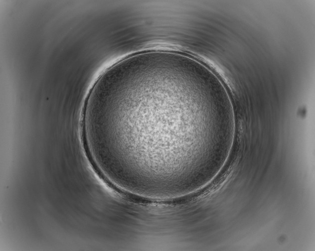 X0000098201379200805011137