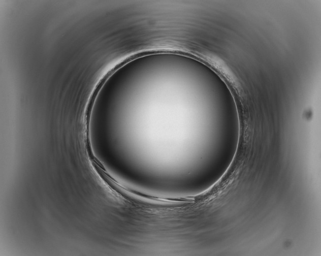 X0000098201380200805011137