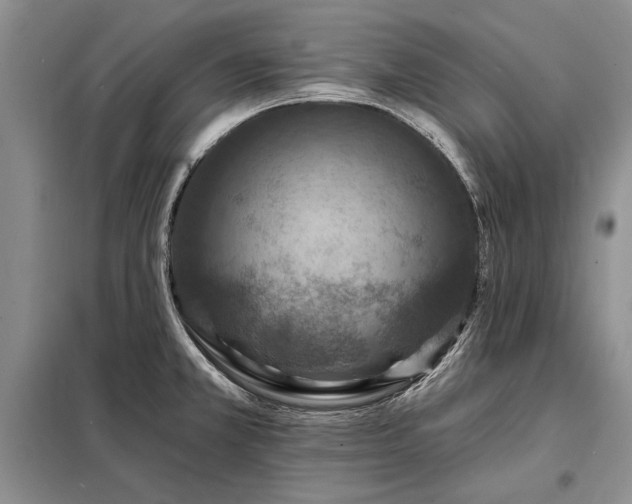 X0000098201381200805011137
