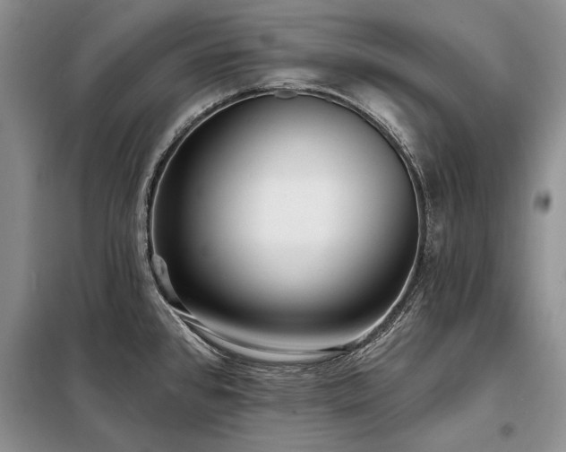 X0000098201384200805011137