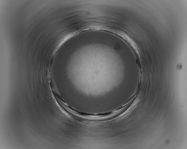 X0000098201385200805011137