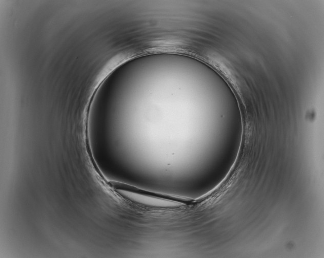 X0000098201386200805011136