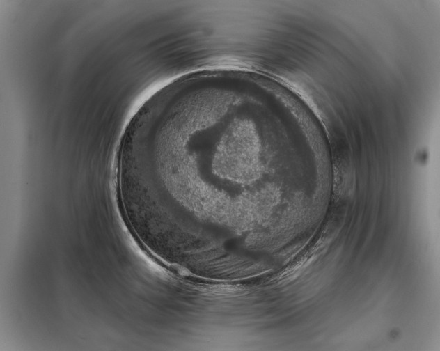 X0000098201387200805011136