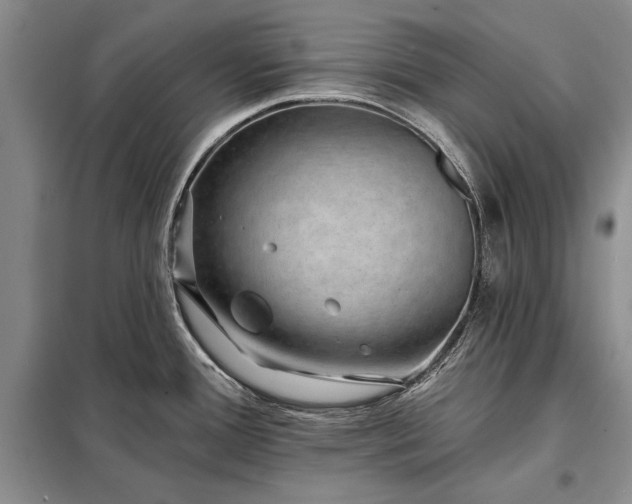 X0000098201388200805011136