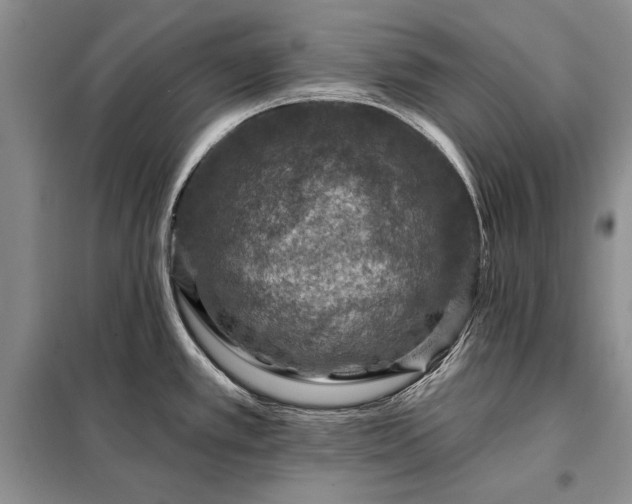 X0000098201389200805011136