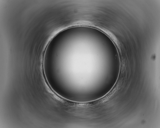 X0000098201390200805011136