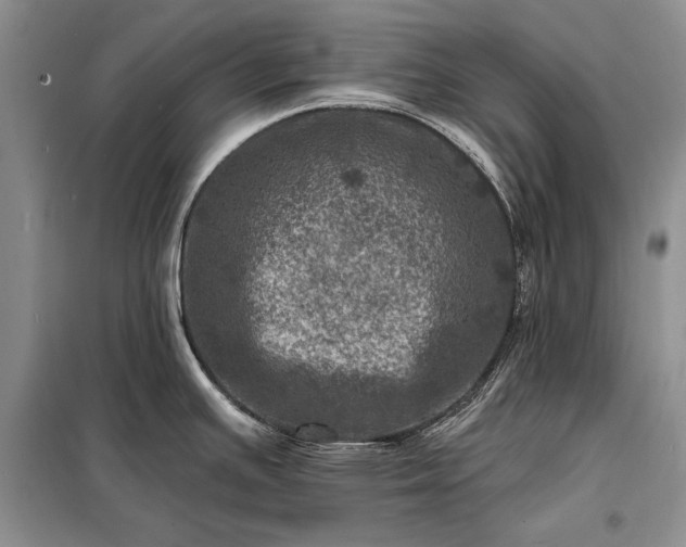 X0000098201391200805011136