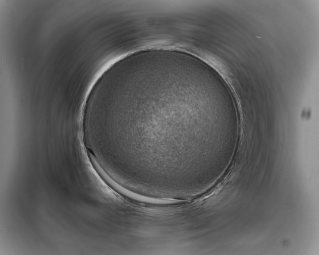 X0000098201392200805011136